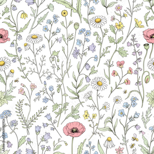 Delicate wildflower meadow illustration with poppies, daisies, and forget-me-nots, seamless pattern, royalty stock.