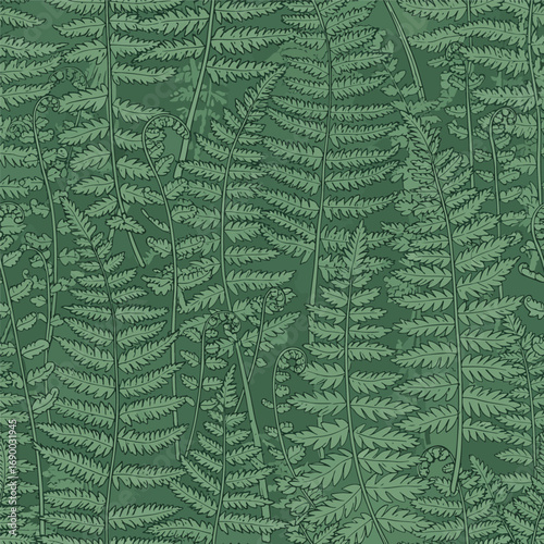 Dense fern fronds botanical illustration in shades of green for backgrounds, seamless pattern, royalty free stock.