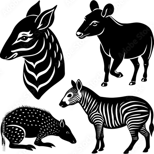 Vector art of collection of four tapir species in black and white, including the bairds, mountain, kabomani, and malayan tapirs