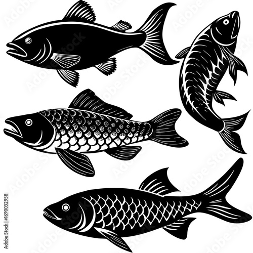 Vector art of collection of four fish species in black and white, including the bass, carp, and other freshwater fish