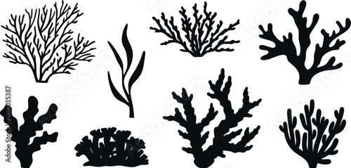 Collection of black silhouettes of various types of coral and seaweed marine life underwater