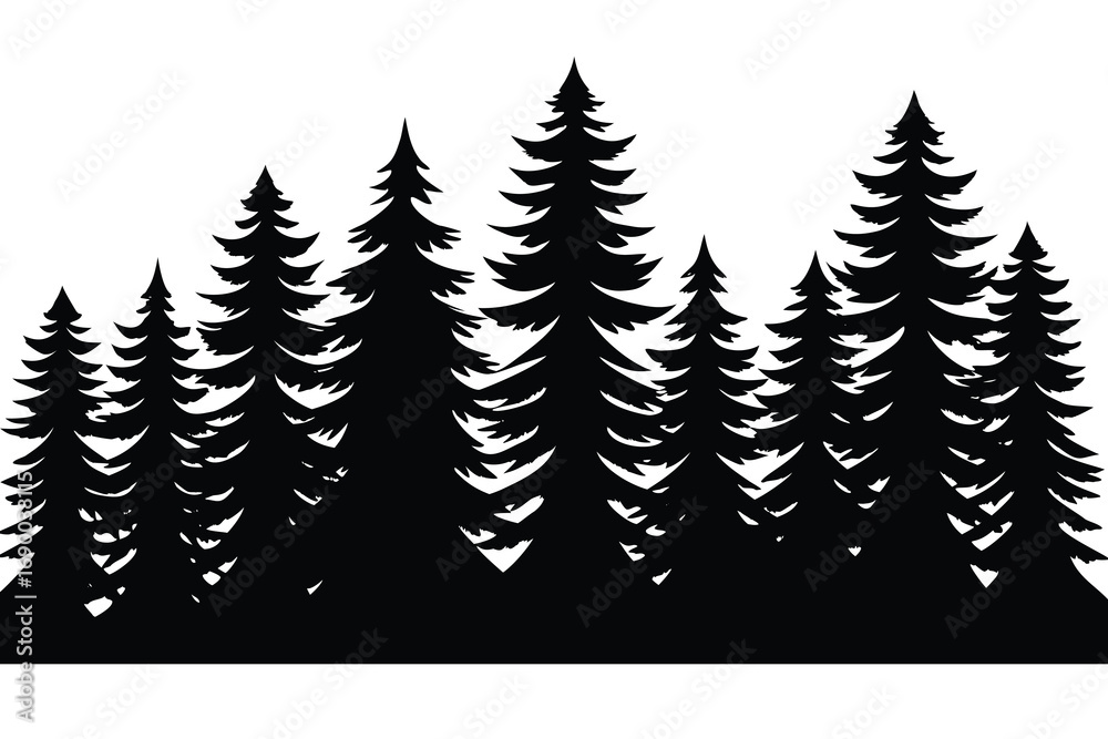 Obraz premium Dense Evergreen Forest Silhouette Illustration with Tall Pine Trees on White Background