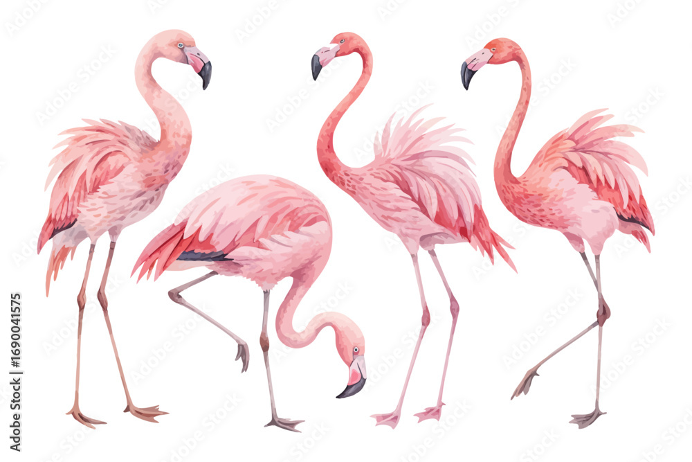Obraz premium set of cute Watercolor exotic flamingo birds