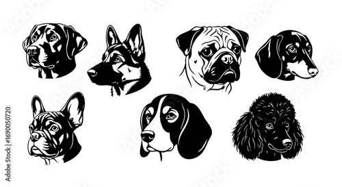 Stunning collection of diverse dog breed portraits for pet lovers and designers