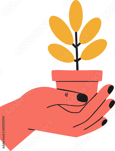 Human hand gently holds a potted plant displaying care and growth concept