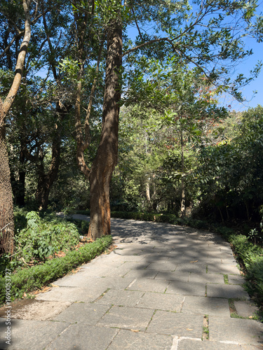 A walkway in the park with stones laid over the grass. Path along the stones in a garden, coorg, Karnataka