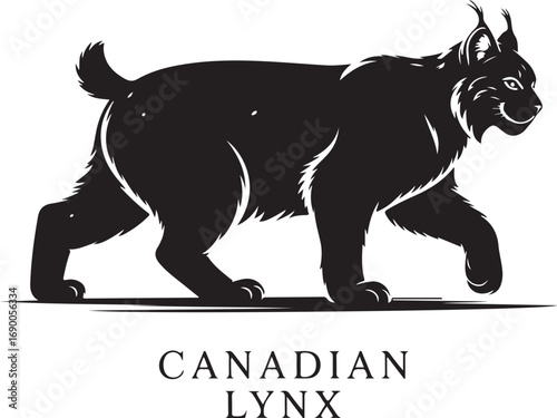 Vector silhouette illustration of black Canadian Lynx animals