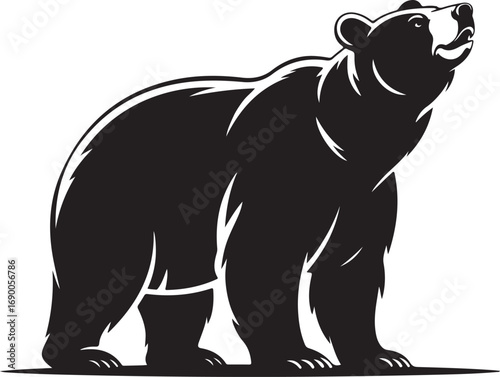 A cute cartoon vector illustration of a wild bear silhouette for a big animal design