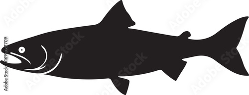 A vector illustration of a shark swimming in the ocean