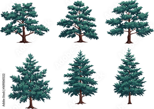 Set of cartoon evergreen trees illustration, detailed conifer forest elements, hand-drawn tree collection for nature, landscape, botanical design