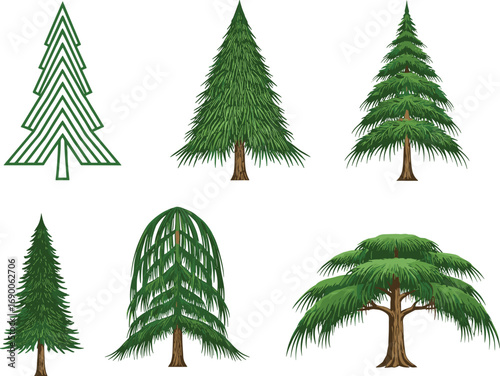 Set of cartoon pine and stylized trees, evergreen forest elements, conifer tree illustrations for landscape, nature, botanical, outdoor design