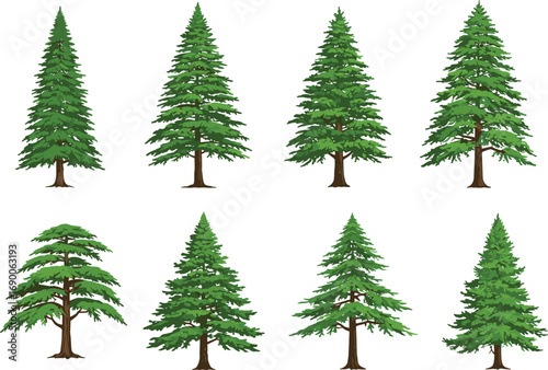 Set of cartoon pine trees, green coniferous forest elements, fir tree illustrations for nature, landscape, botanical, outdoor, or seasonal use