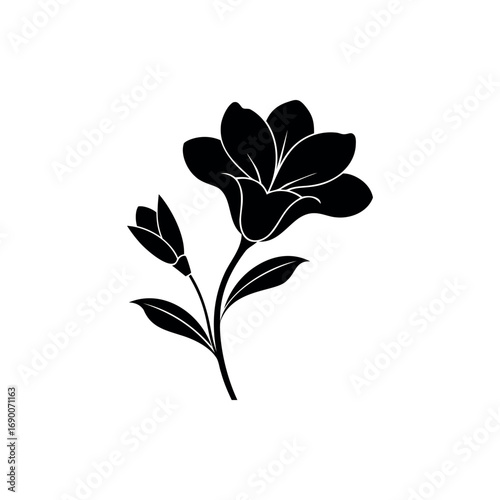 Elegant black silhouette of a blooming magnolia flower with unopened bud  