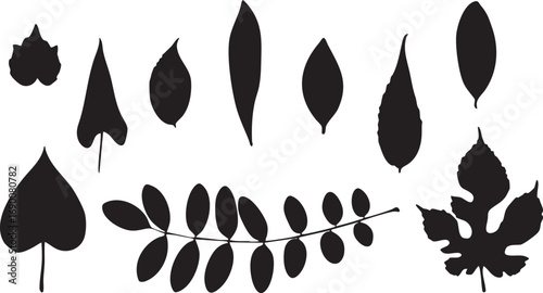 A collection of black leaf silhouettes in various shapes, including heart-shaped, oval, elongated, maple-style, and compound leaves. Ideal for botanical illustrations, eco designs, and stencils.