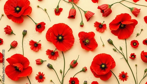 Seamless red poppy floral pattern, beige background Top view flat lay, bloom, nature