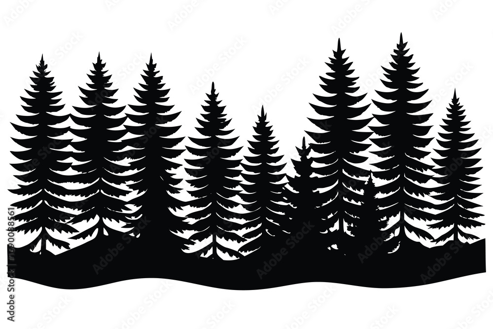 Obraz premium Silhouette of Evergreen Pine Trees Forest on a Hill Isolated on White