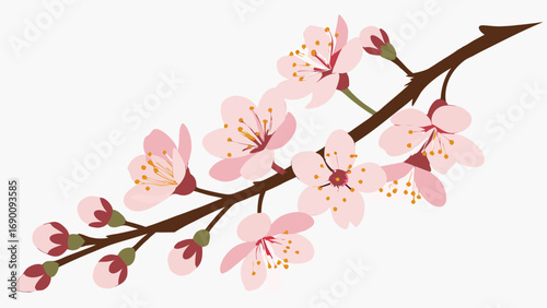 Pink Blossom Branch Spring Flowers Floral Design Element for Springtime Decorations Cards and Invitations.