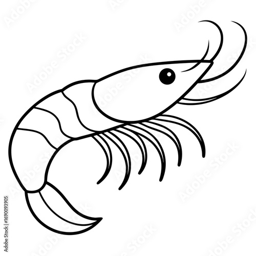 White Shrimp Line Art