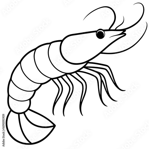 White Shrimp Line Art