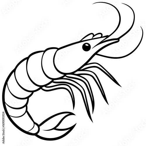 White Shrimp Line Art