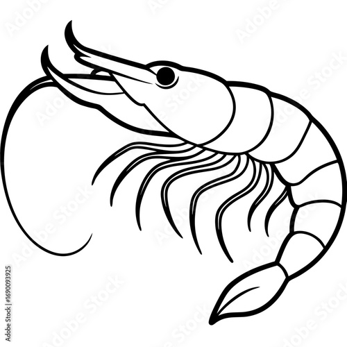 White Shrimp Line Art
