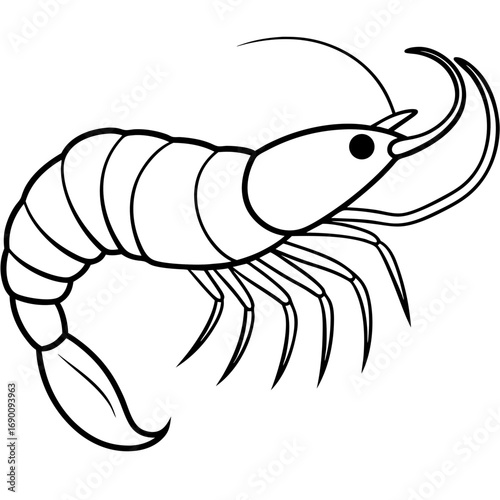 White Shrimp Line Art
