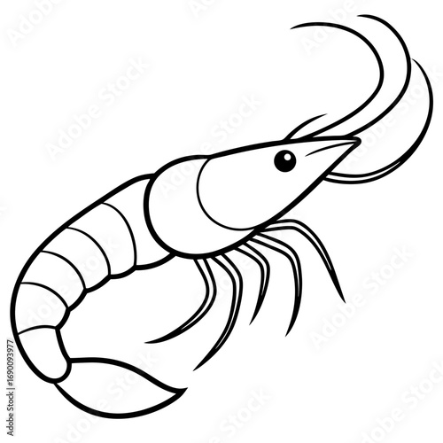 White Shrimp Line Art