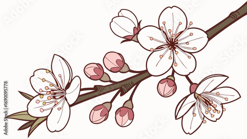 Spring Blossom Branch Delicate Flower Illustration Floral Design Element White Pink Flowers Botanical Art Nature Illustration Springtime Bloom Wedding Invitation Greeting Card Design Floral Pattern N.