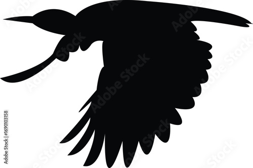 Flying Andean flicker bird Silhouette Design And Vector Illustration. 