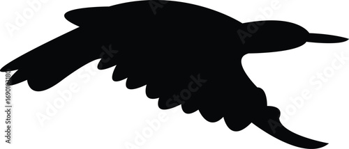 Flying Andean flicker bird Silhouette Design And Vector Illustration. 