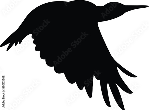 Flying Andean flicker bird Silhouette Design And Vector Illustration. 