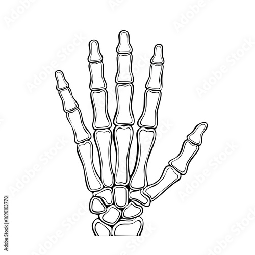 Vector art of a bony skeleton hand waving hello