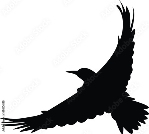 Flying Andean flicker bird Silhouette Design And Vector Illustration. 