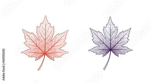 Intricate pen drawing of autumn maple leaves in red and purple hues showcasing delicate vein patterns