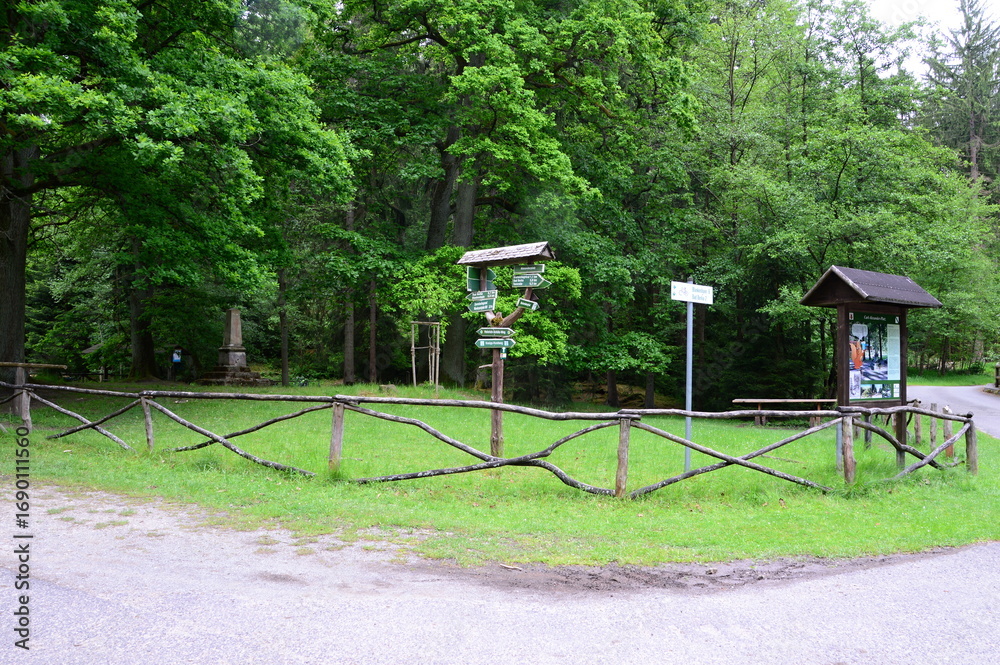 Obraz premium Trail in Spring in the Town Bad Berka, Thuringia