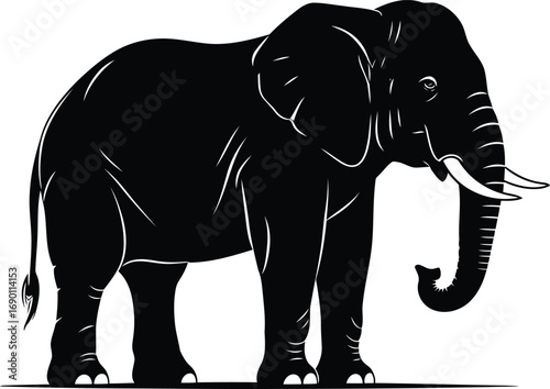Majestic african elephant silhouette wildlife nature majestic animal safari graceful strength outdoor vector