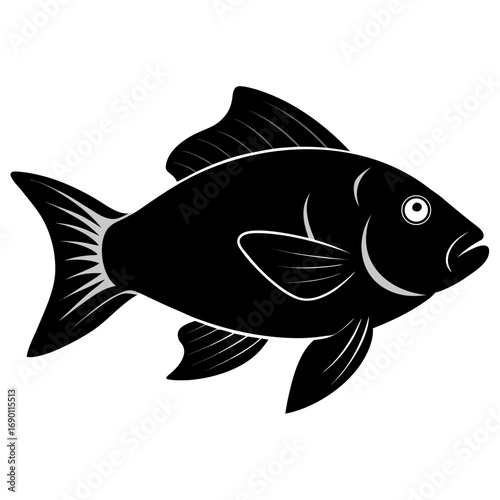 Parrotfish Black Silhouette Vector Illustration on White Background