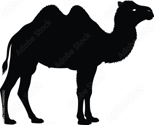 Silhouette of a camel standing isolated on white elegant desert animal vector art vector