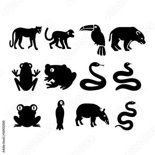 Illustration of a collection of animals including a panther monkey toucan bear frogs snakes parrot and tapir