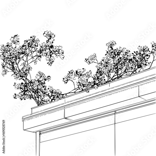 Black and white floral rooftop garden sketch illustration design for architecture and landscaping projects