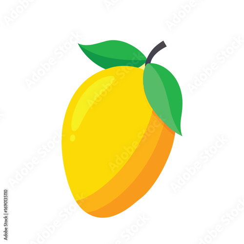 vector illustration of an mengo fruit