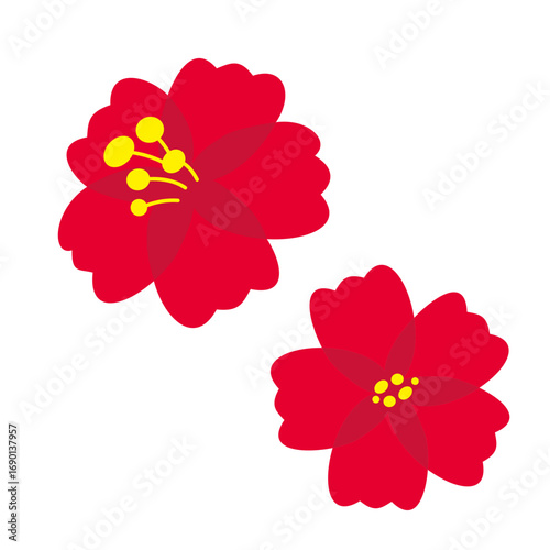 red hibiscus flowers