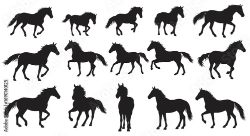horse silhouettes vector