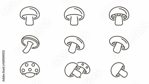 Illustration of nine mushroom drawings in a grid pattern with different perspectives and arrangements with lines