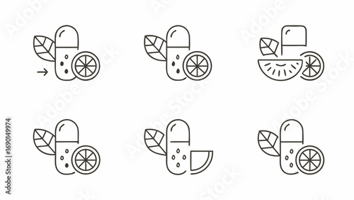 Collection of outlined vitamin capsules with leaves and citrus slices in a linear arrangement