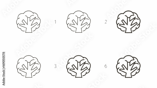 Illustration showing a tree drawing tutorial with six steps to complete the tree outline on a white background