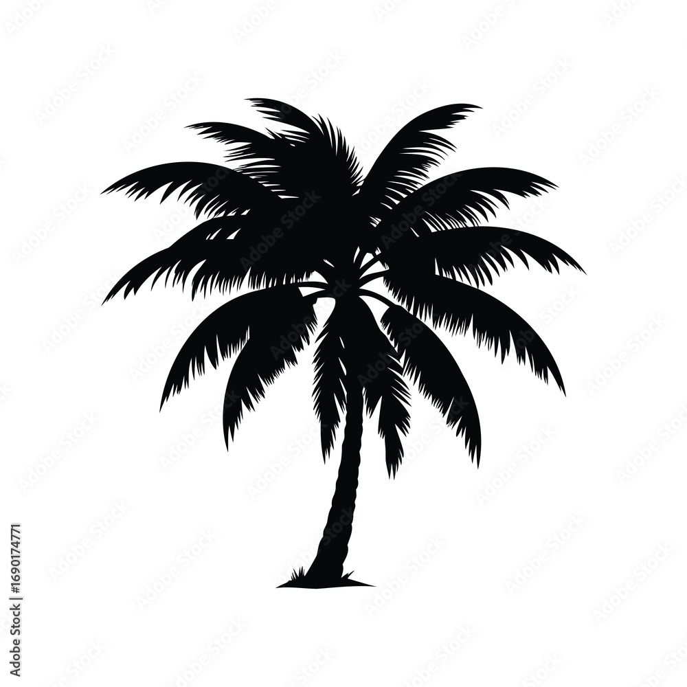 Fototapeta premium Silhouette of a tropical palm tree casting a stark, bold shadow, coconut palm silhouette vector illustration