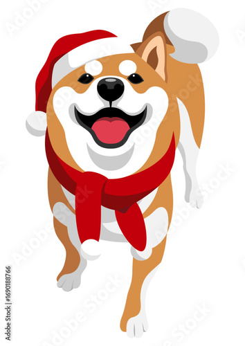 柴犬