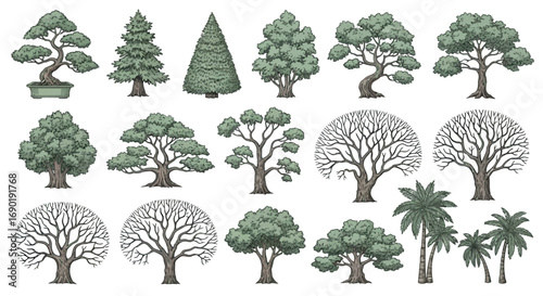Vector vector art of assortment of diverse tree illustrations in various styles and seasons, transparent background