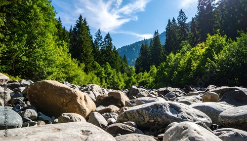 Rocky riverbed leading to a lush forest